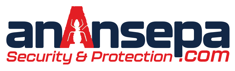 Ananse Pa Logo